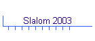 Slalom 2003